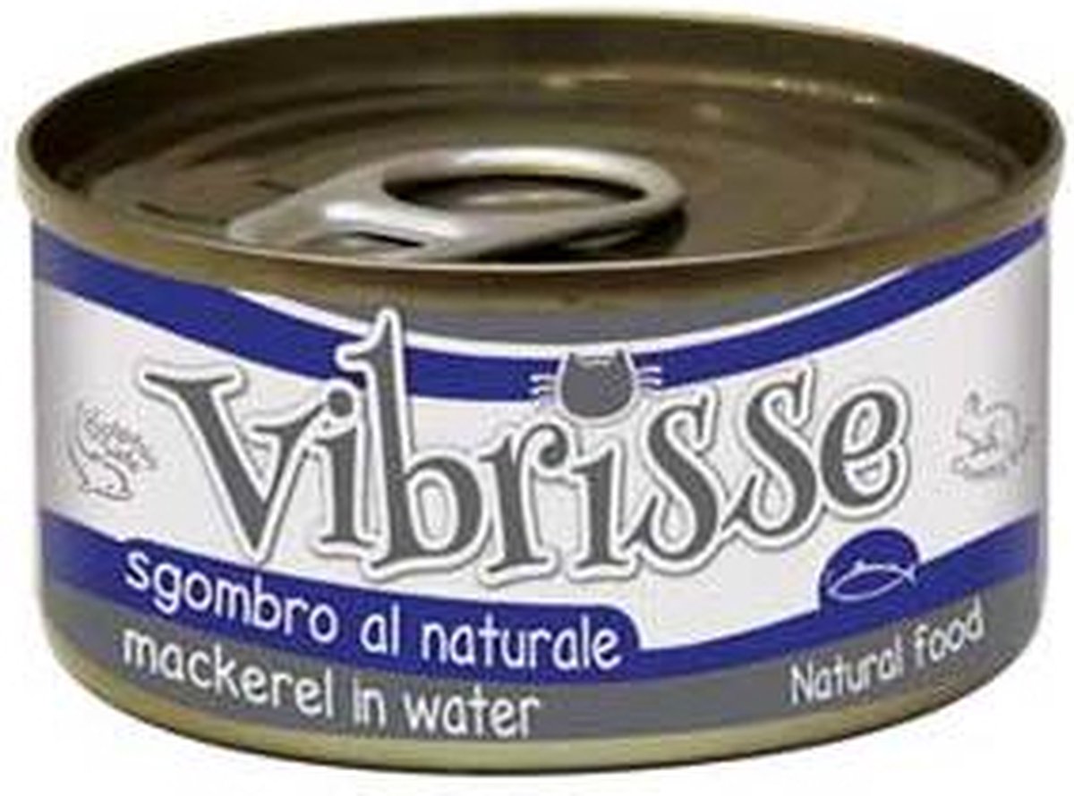 Vibrisse chat maquerel