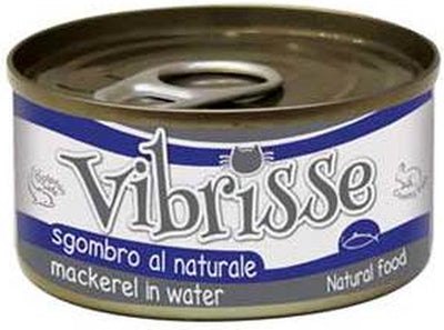 Vibrisse chat maquerel