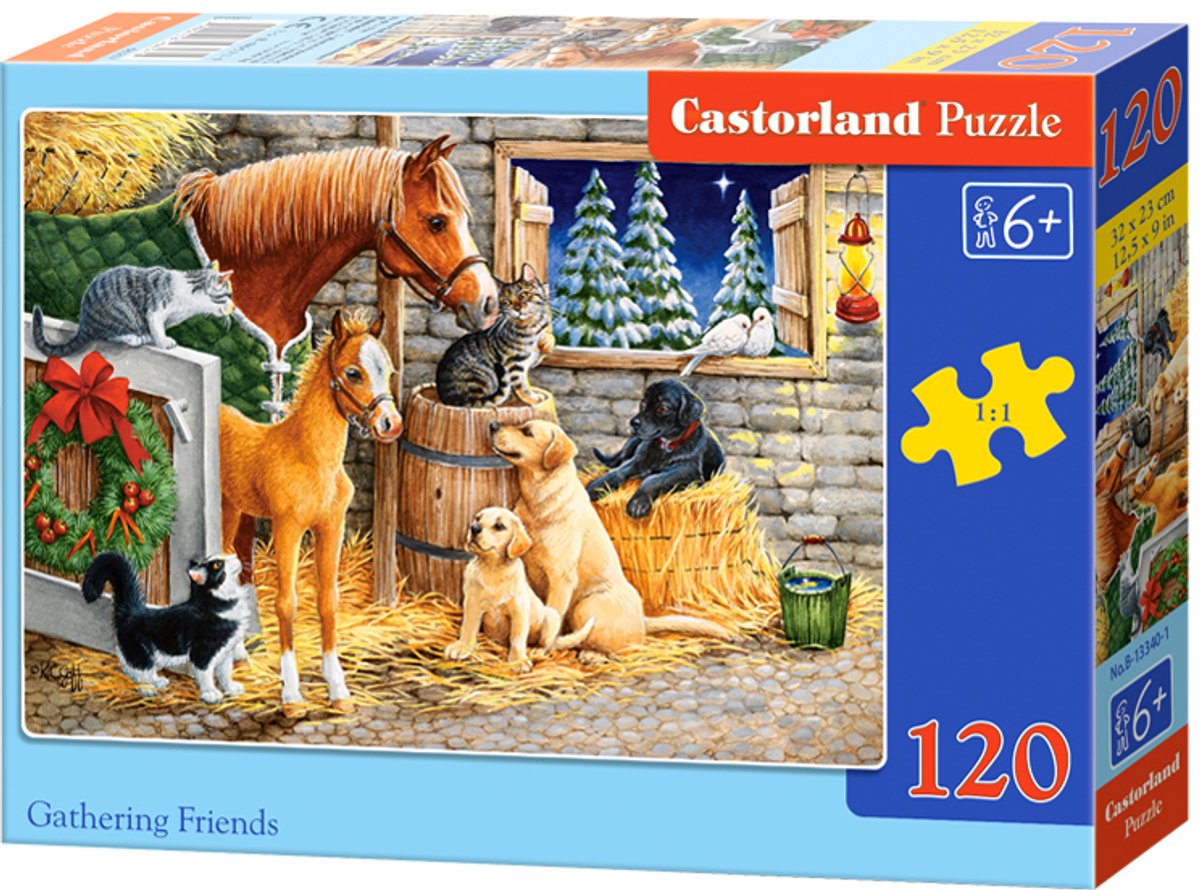 Castorland rassemble des amis - 120 pièces