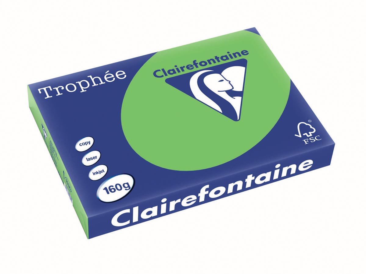 Clairefontaine trophée intense | papier de couleur | a3 | 160g | 250 feuilles | herbe verte
