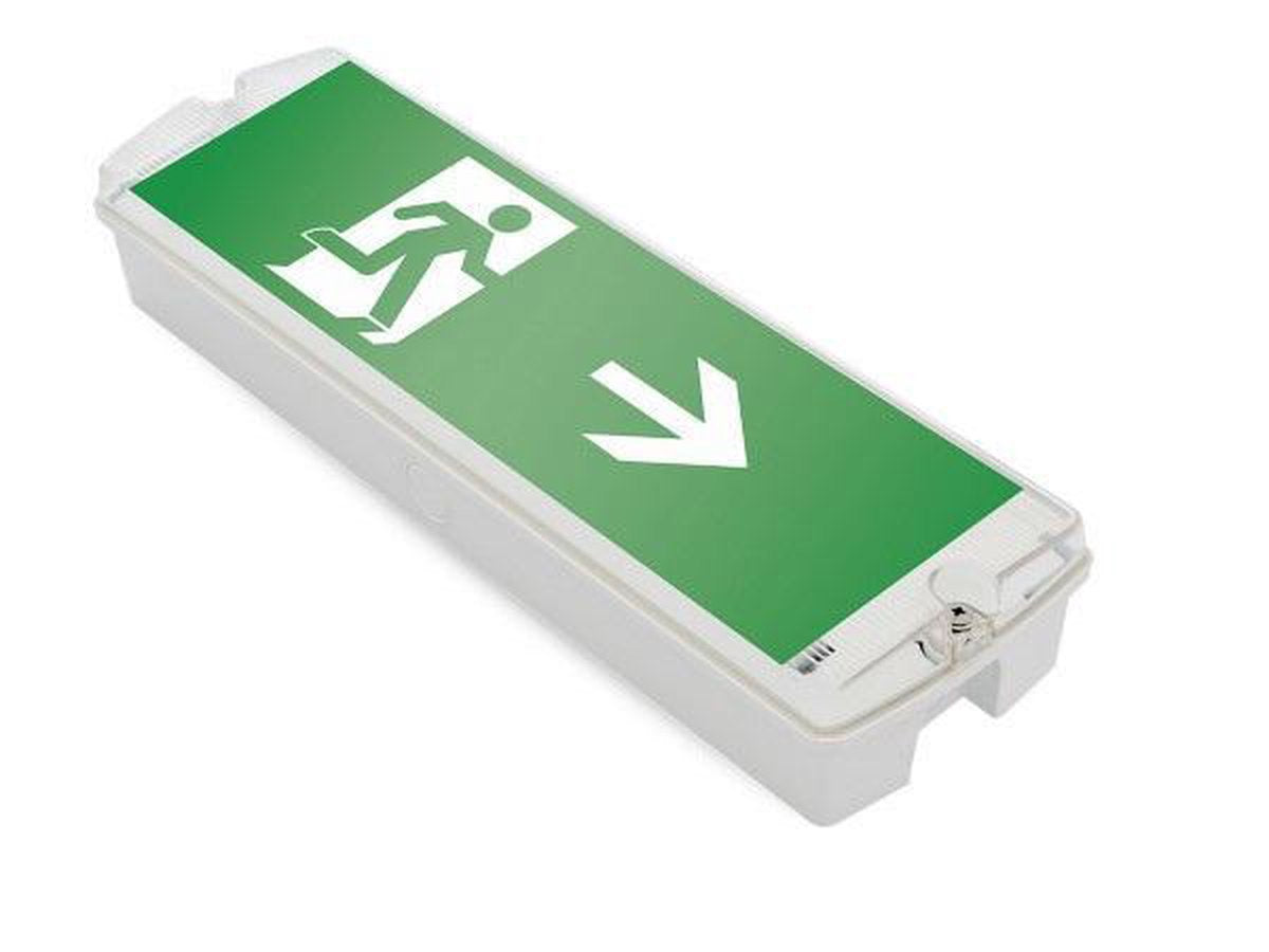 Luminaire de secours LED intégré en saillie 5w, 250 lumens, IP65, avec indication de flèche