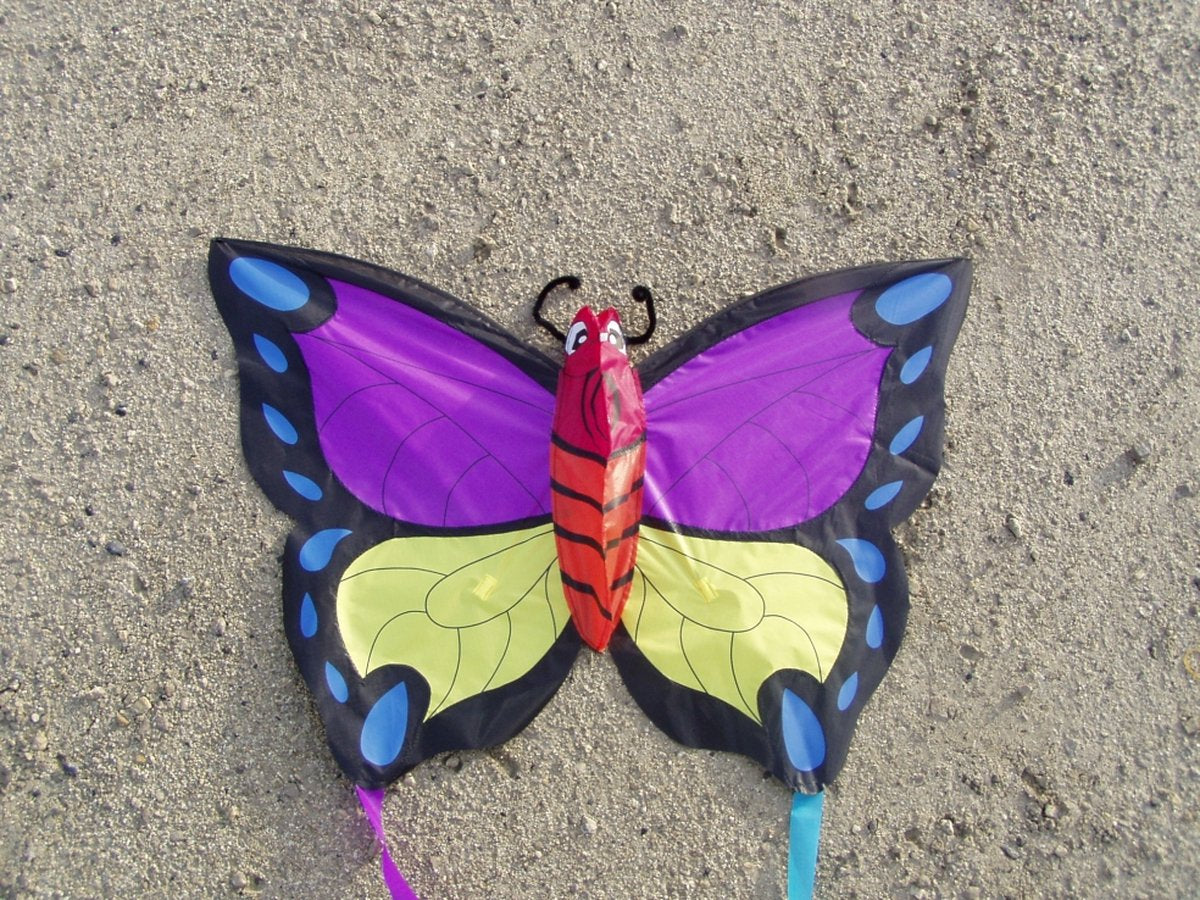 Didak plage cerf-volant pinky winky - 52x73 cm