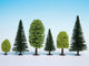 Ni les arbres des forêts mixtes
