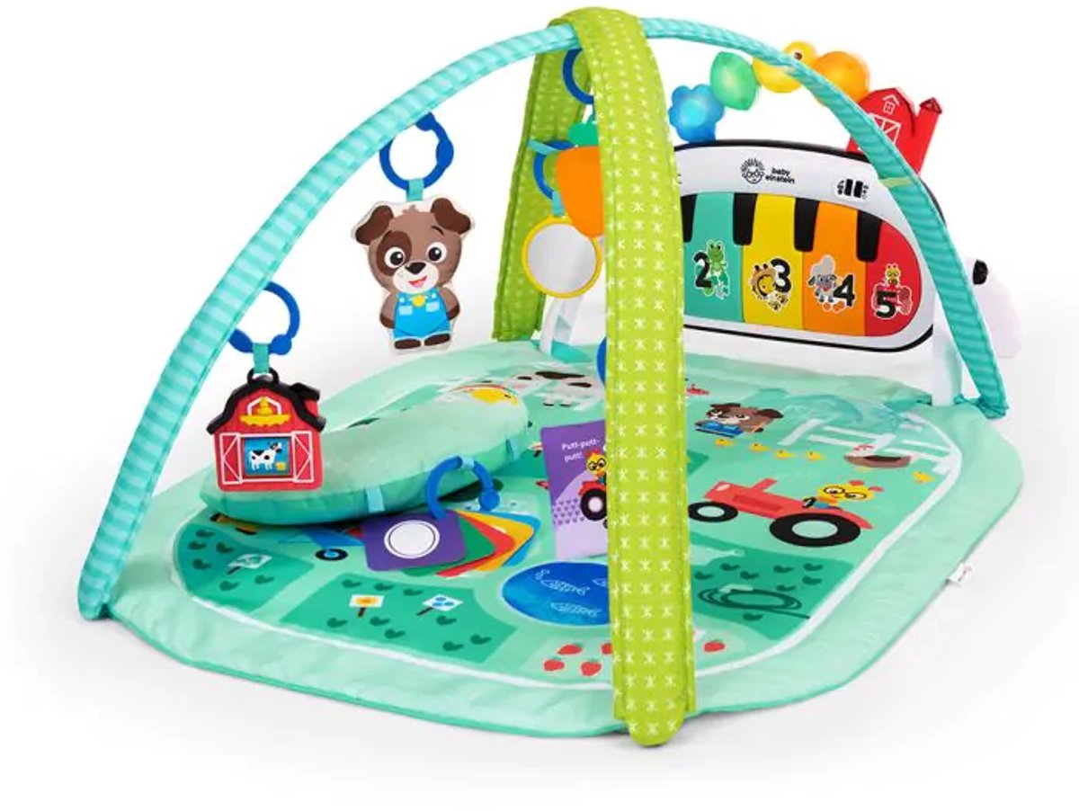 Baby Einstein Discovery Gym 4en1 Kickin Tune Meadow - - à partir de 0 mois