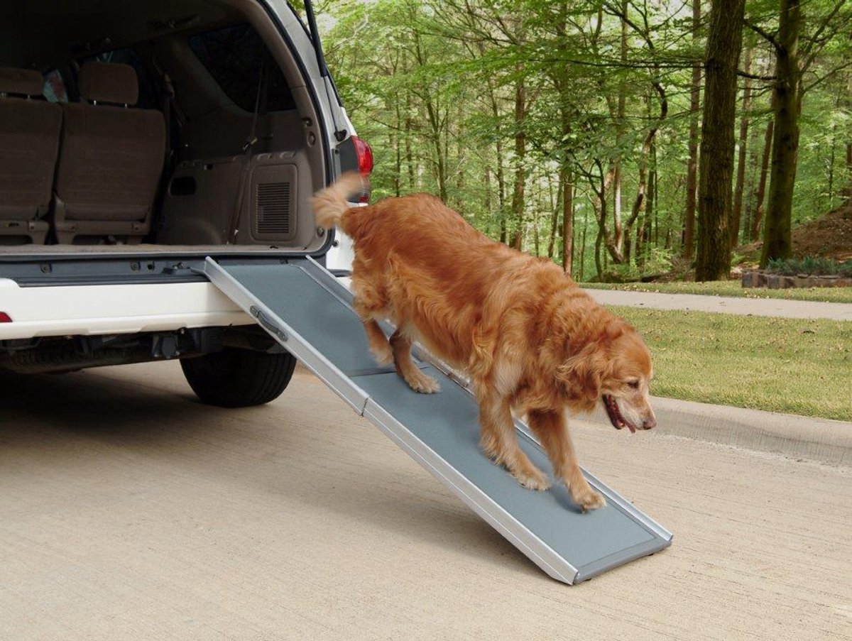 Rampe extensible Petsafe pour chiens - télescopique happy ride deluxe - accès facile et sûr aux meubles de la voiture - m