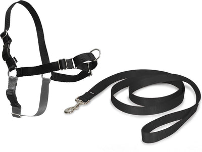 Petsafe easy walk® - harnais pour chien - petit 38-51 cm - noir
