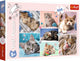 Trefl puzzle monde des chats 100 pièces en carton coloré.