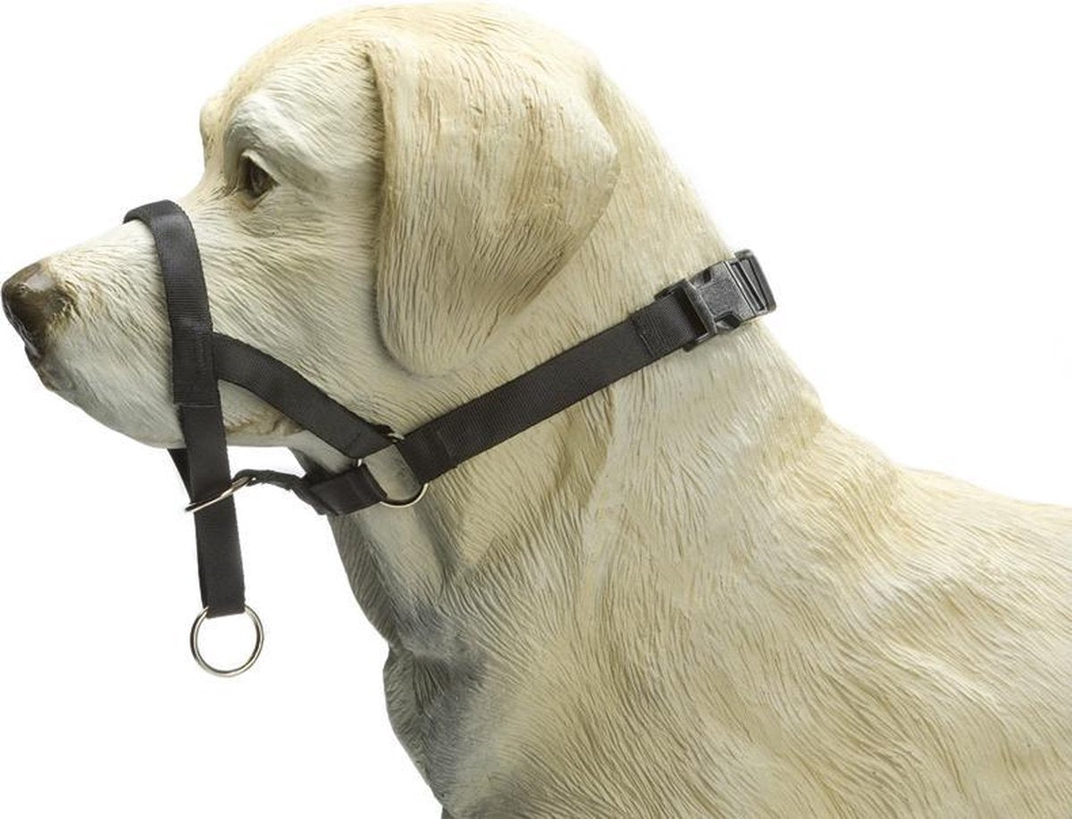 Beeztees dog control - collier pour chien - noir - s