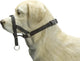 Beeztees dog control - collier pour chien - noir - s