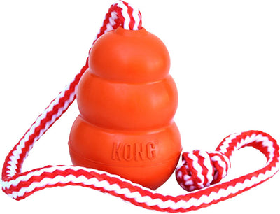 Kong Aqua Oranje