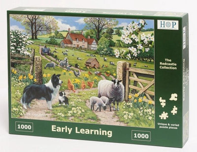 Puzzle House of Puzzles - 1000 pièces - éveil - House of Puzzles