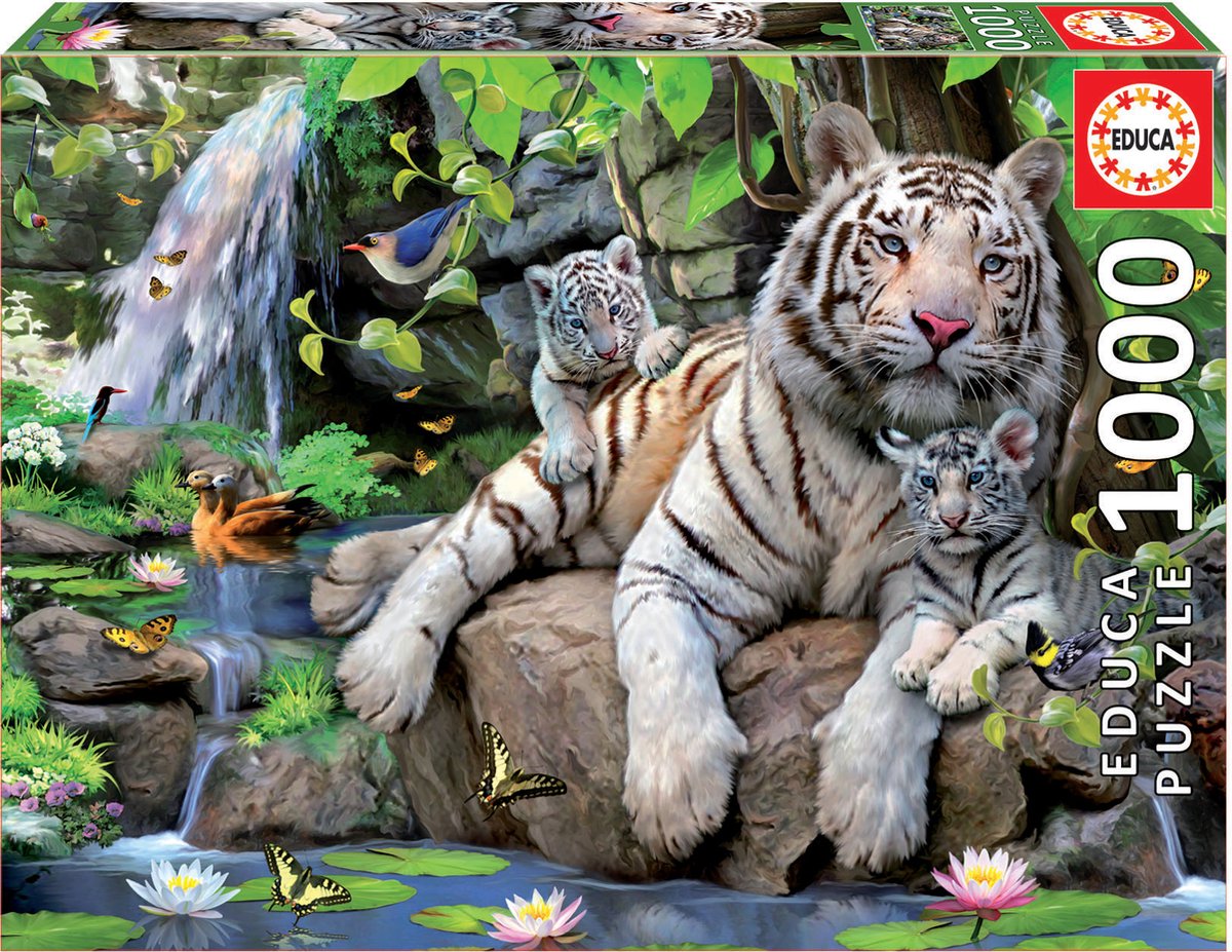 Educa - puzzle - tigres du Bengale - 1000 pièces - puzzle