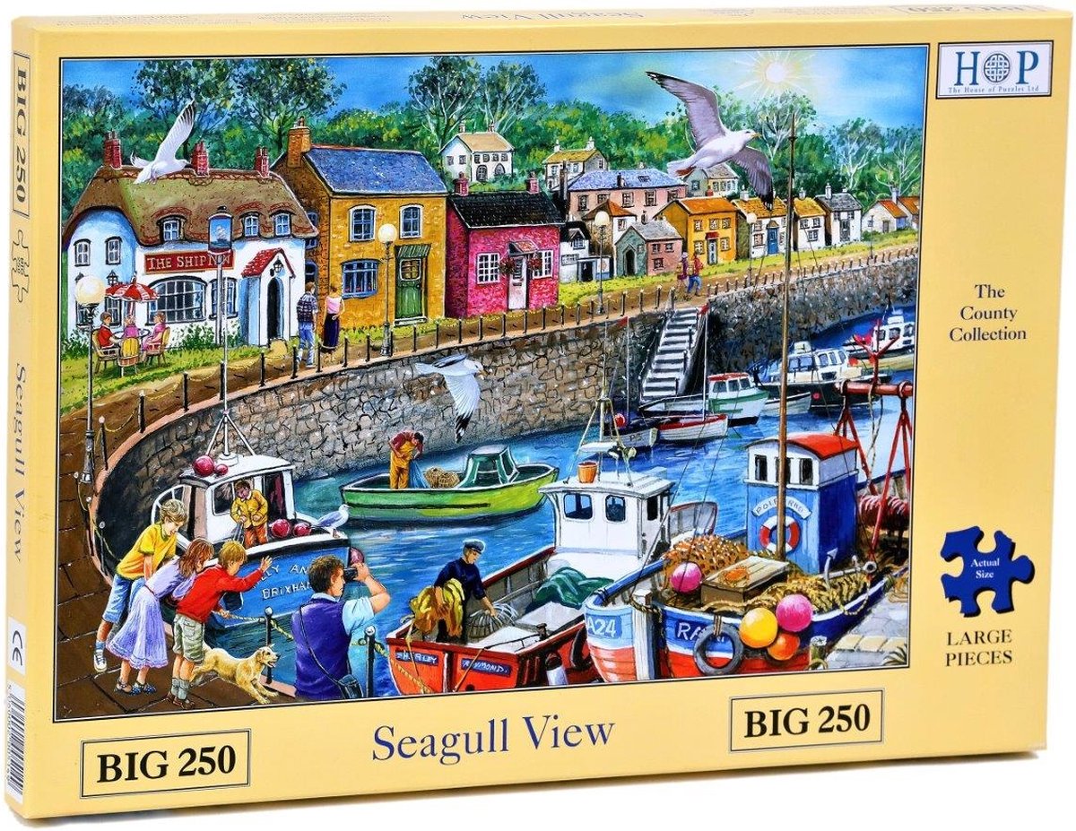 House of Puzzles Puzzle vue mouette 250 pièces xl