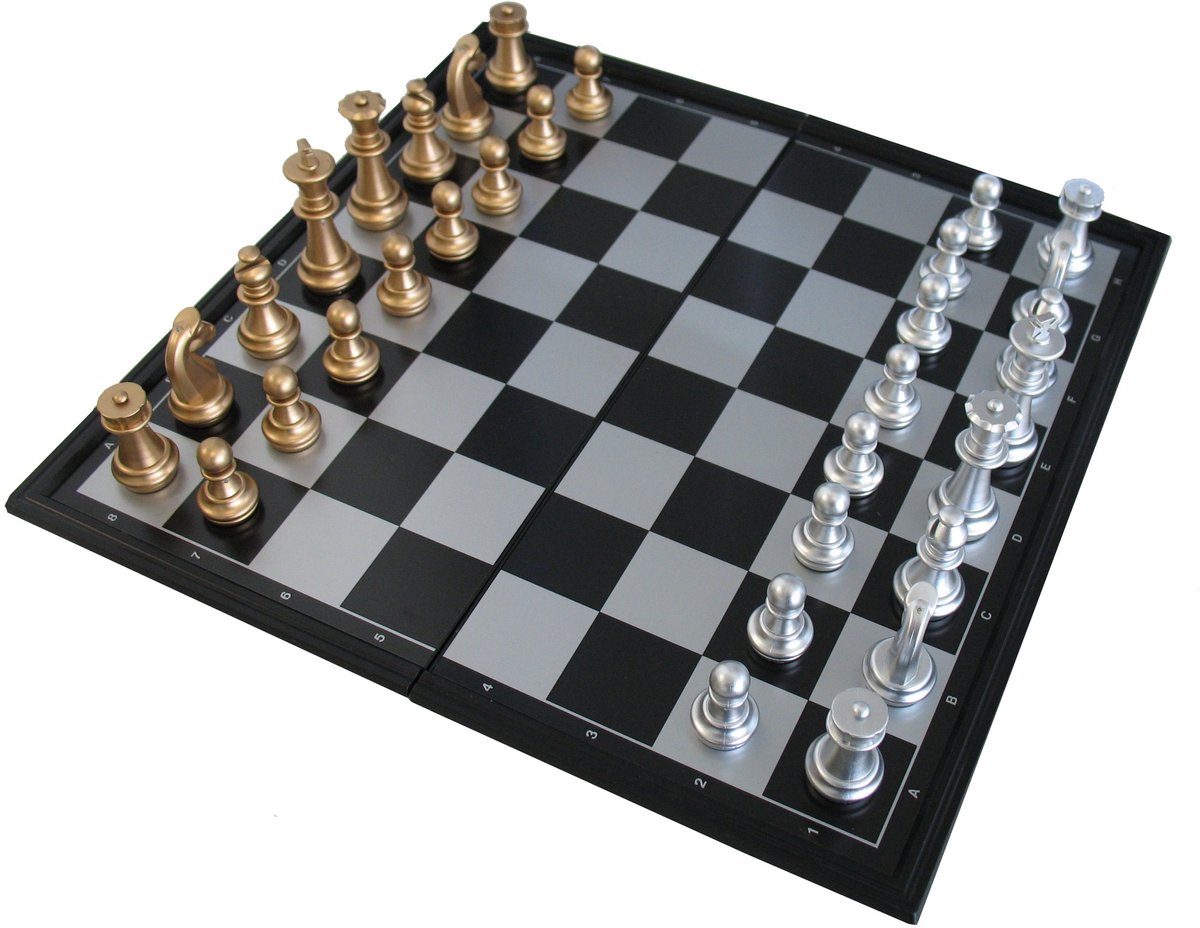 Étui d'échecs pour jeux chauds. zwkunst.magn.24x12x4cm..