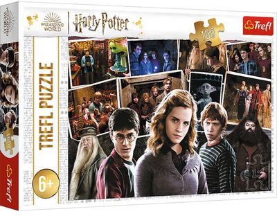 Trefl 160 - Harry Potter et ses amis Warner Harry Potter