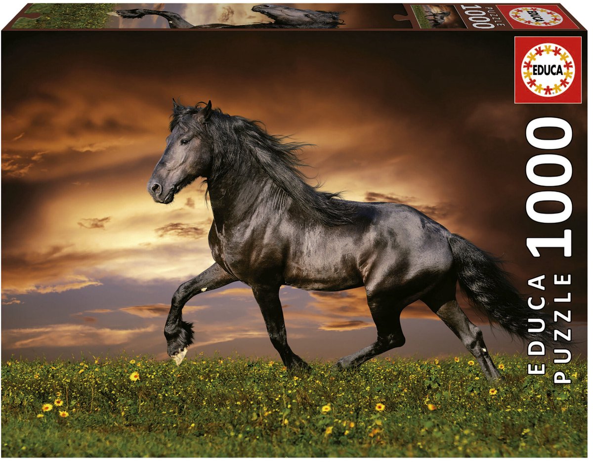 Educa - puzzle - 1000 pièces - cheval