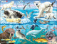 Selecta Larsen Pluzzle Animaux - Animaux polaires, 75e.