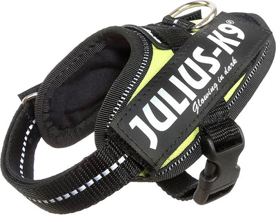 Julius k9 julius-k9 idc®power harnais, 3xs - baby1, néon