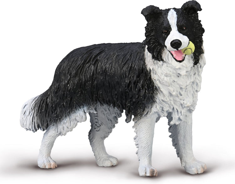 Figurine Collecta - border collie - (l) - chiens - peint à la main - miniature