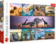 Trefl puzzle Afrique - 1000 pièces - collage de puzzle.