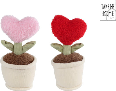 Ramène-moi à la maison, plante en forme de cœur en peluche