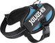 Julius k9 julius-k9 idc®power harnais, 2xs - baby2, bleu azur