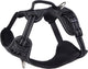 Rogz pour chiens rogz explore harnais doublé noir - harnais pour chien - s 36-57 cm