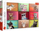 Trefl puzzle chats - visages de chats drôles puzzle de 1500 pièces.
