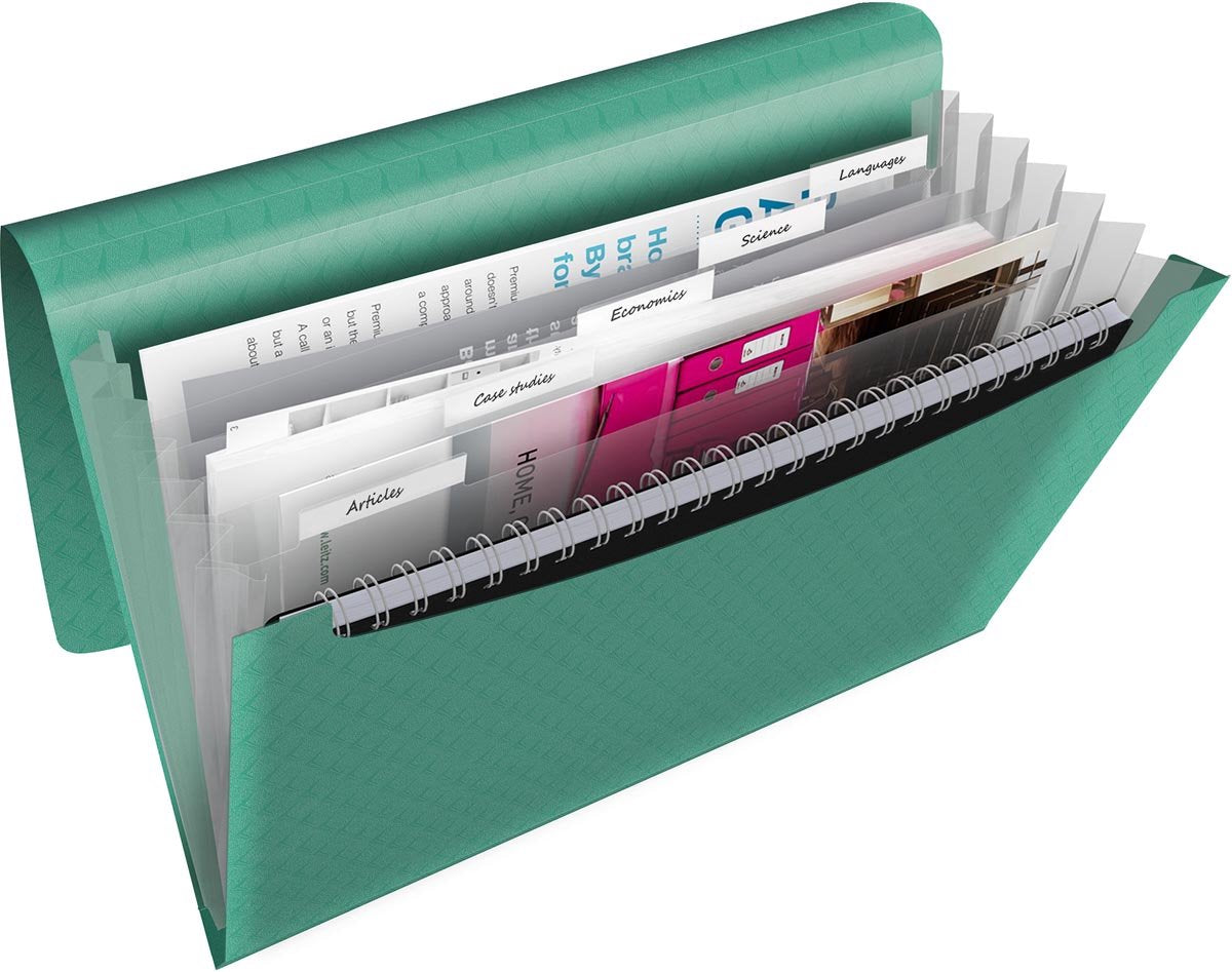 Esselte colour'breeze dossier de projet extensible a4 - organisateur avec 5 onglets 6 compartiments - vert