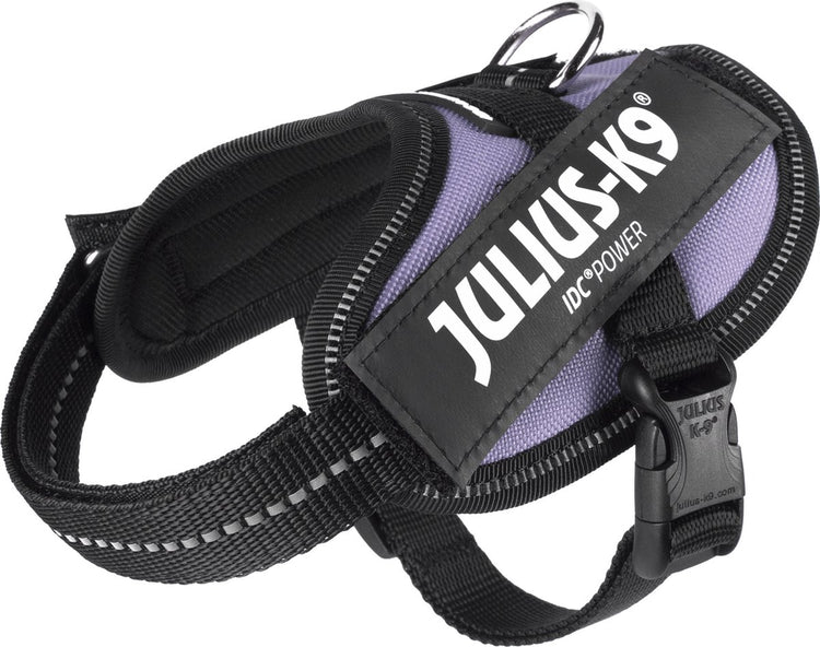 Julius k9 julius-k9 idc®power harnais, 2xs - baby2, violet