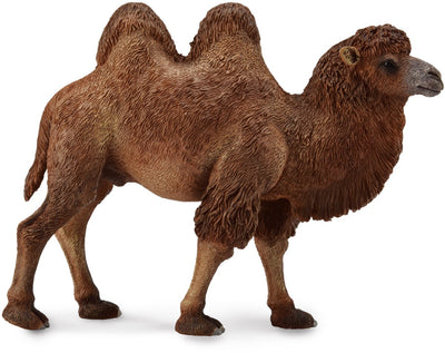 Figurine Collecta - chameau - (l) - animaux sauvages - peint à la main - miniature