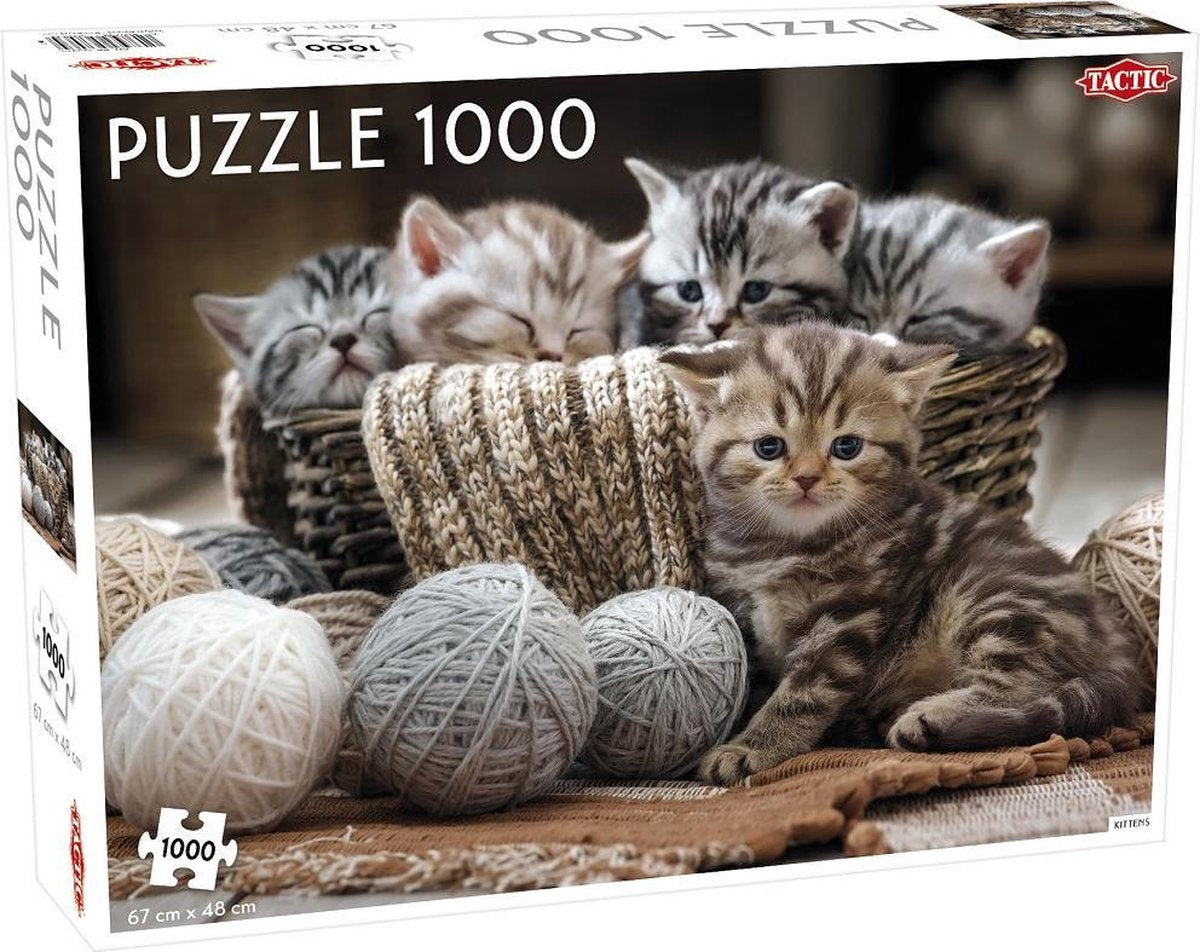 Chatons mignons Tactic - 1000 pièces