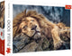 Puzzle Trefl lion endormi - 1000 pièces