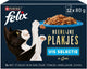 Felix délicieuses tranches - nourriture humide pour chats - saumon - 12x80g