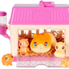 Mini maman surprise mini hamster petit animal de compagnie en direct