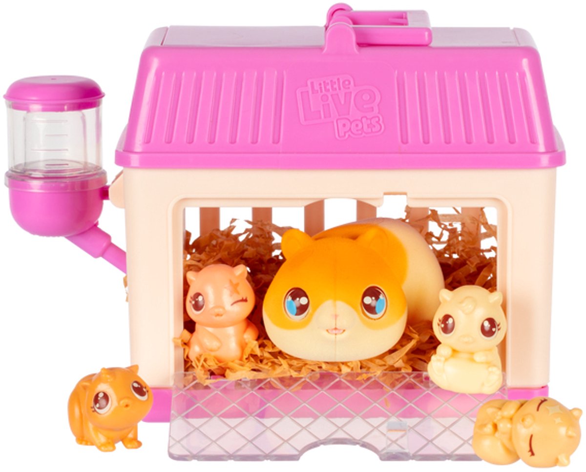 Mini maman surprise mini hamster petit animal de compagnie en direct