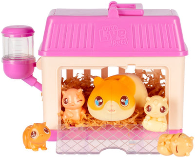 Mini maman surprise mini hamster petit animal de compagnie en direct
