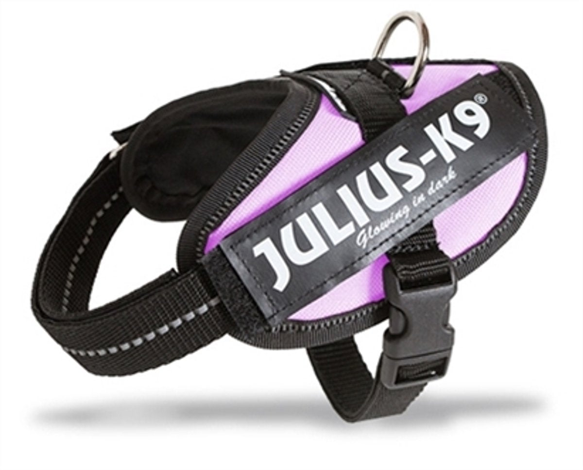 Jules k9