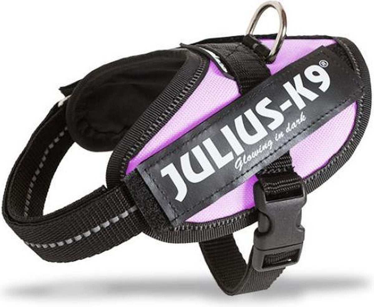 Julius K9 faisceau d'alimentation IDC de renommée mondiale pour étiquettes de texte rose taille 1