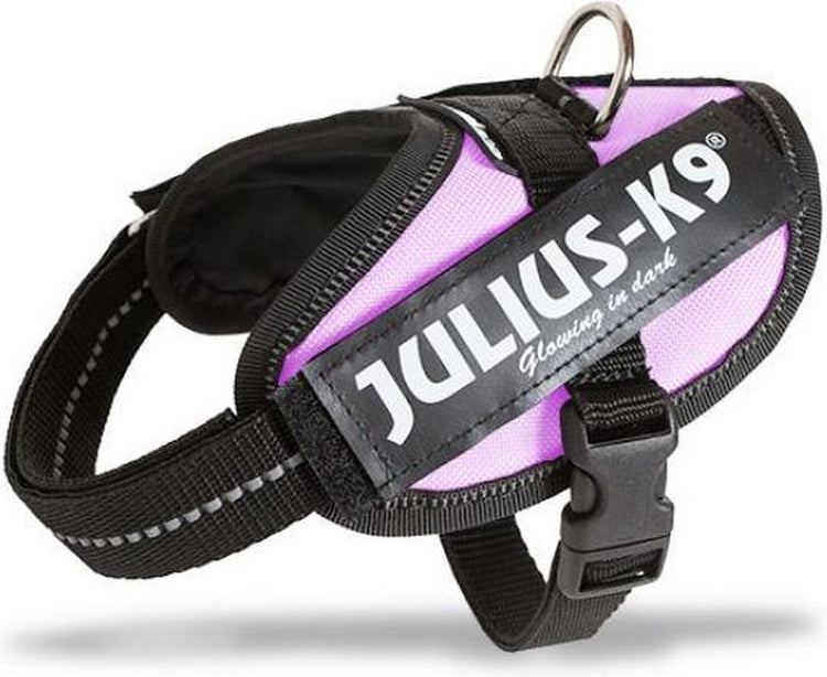 Julius K9 faisceau d'alimentation IDC de renommée mondiale pour étiquettes de texte rose taille 1