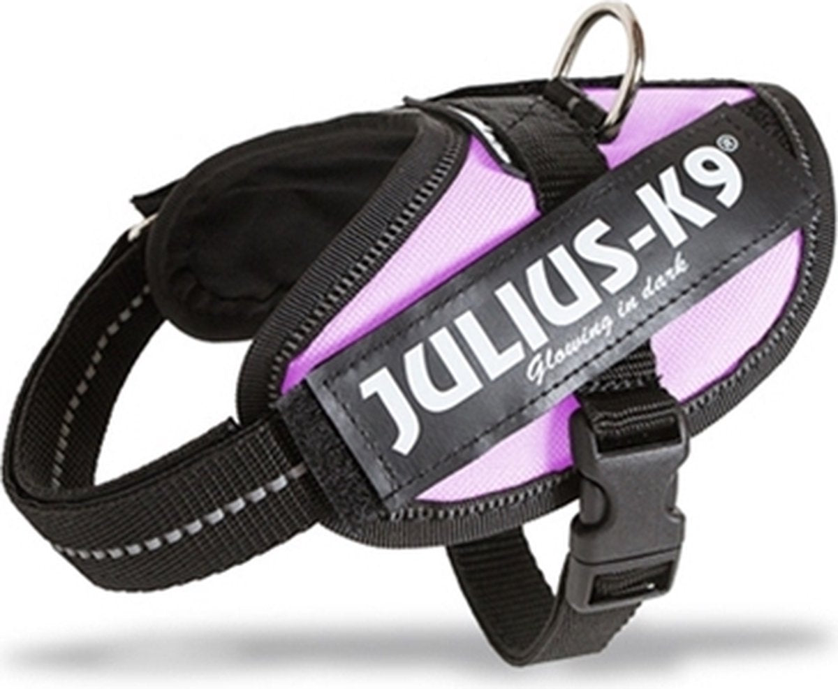 Jules k9
