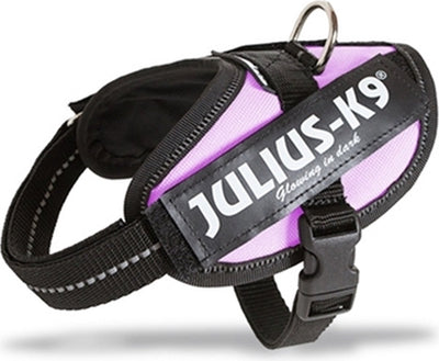 Jules k9