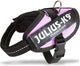 Jules k9