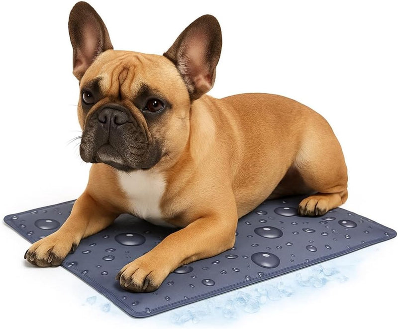 Tapis rafraîchissant Flamingo chien - tapis rafraîchissant chat - s - 50x40 cm - gris réglisse - tapis rafraîchissant auto-refroidissant avec remplissage en gel - imperméable et pliable