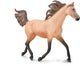 Figurine Collecta - étalon arabe dunskin -1:12