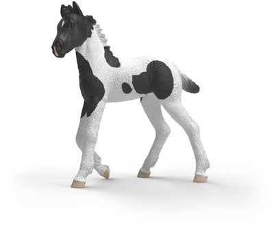 Schleich Horse Club Poulain de collection Rocky 81481