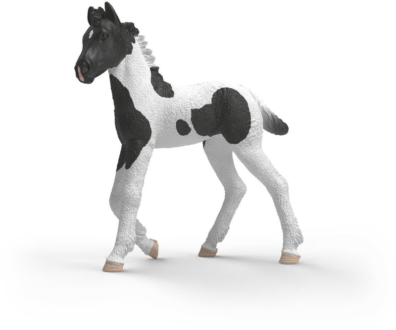 Schleich Horse Club Poulain de collection Rocky 81481