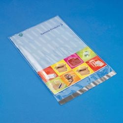Sacs à fermeture automatique Raja SPP2231 transparent 220x310 mm