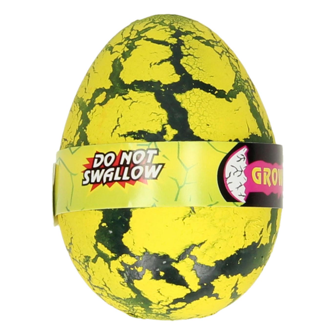 œuf de croissance coloré
