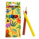 LG importe des crayons de couleur dino, 6e.